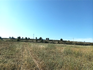 Carretera Salamanca 4