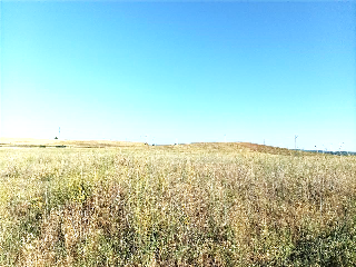 Carretera Salamanca 5