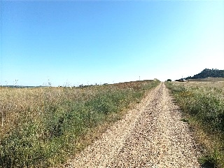 Carretera Salamanca 8