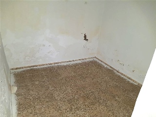 Granadera 11