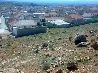 Buena Vista De Illora 2