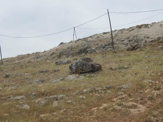 Buena Vista De Illora 7