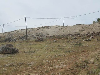 Buena Vista De Illora 8