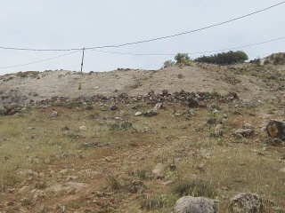 Buena Vista De Illora 9