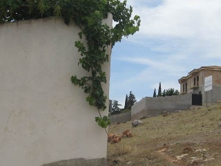 Buena Vista De Illora 12