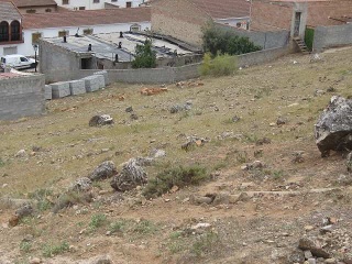 Buena Vista De Illora 14