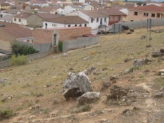 Buena Vista De Illora 15