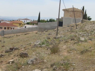 Buena Vista De Illora 17