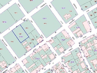 Buena Vista De Illora 19