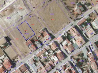 Buena Vista De Illora 20