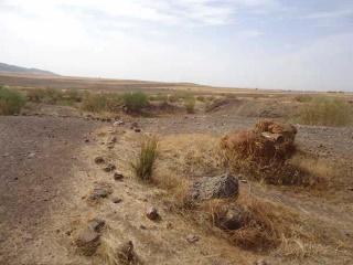 Pisos banco Villagarcía de la Torre