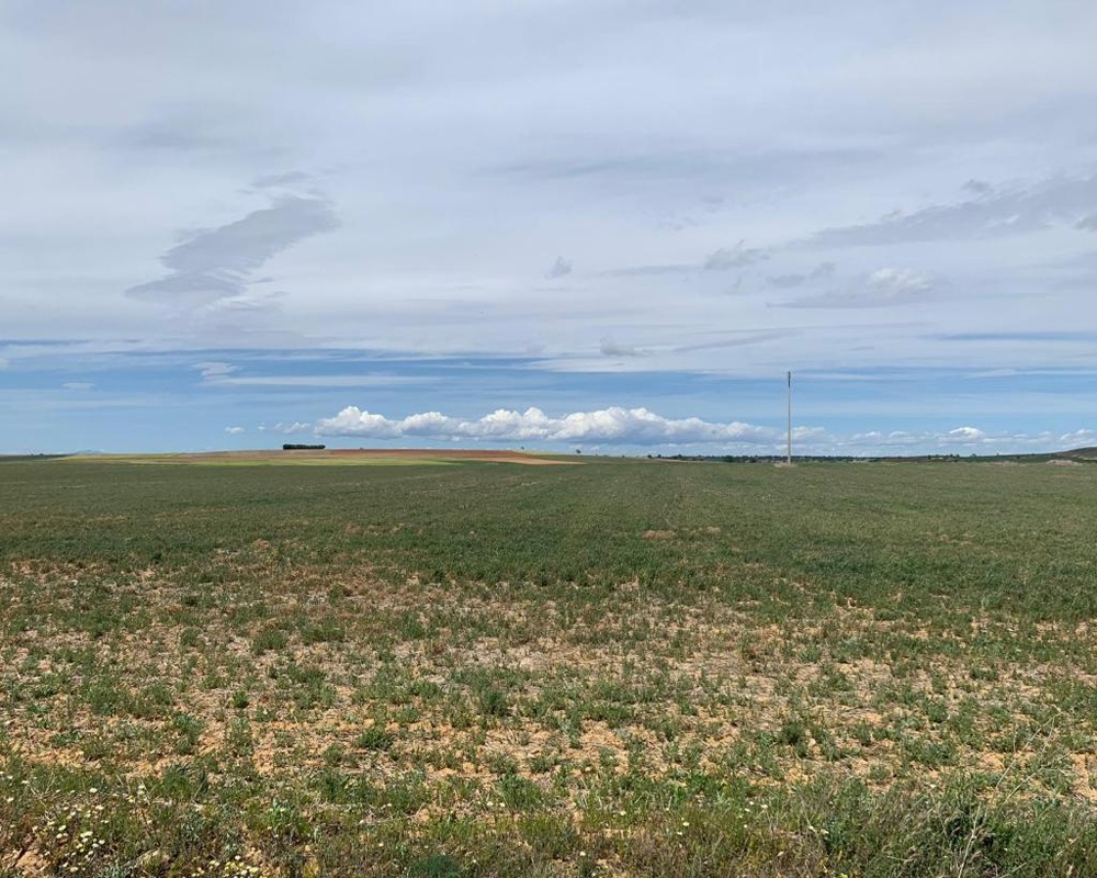 Vegas De San Benito