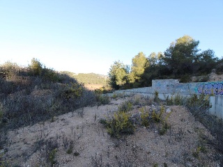 Arboç 5