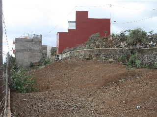 Aguileña 4