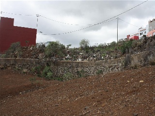 Aguileña 5