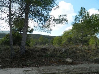 Llanorel 4
