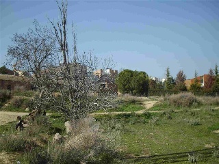 Francesc Macia (De) 2