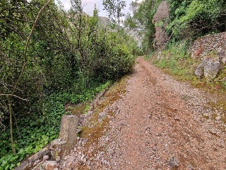 Partida La Casella 3