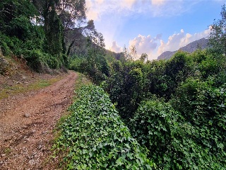 Partida La Casella 5