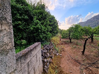 Partida La Casella 7