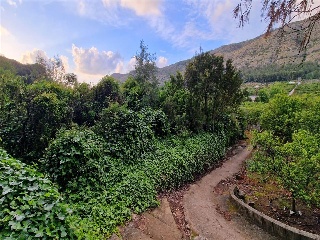 Partida La Casella 8