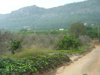 Partida La Casella 10