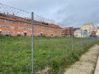 Ledesma 7