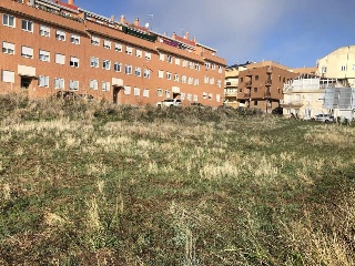 Ledesma 8