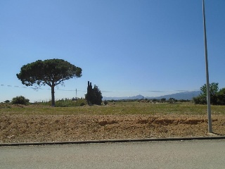 Arcs (Dels) 7