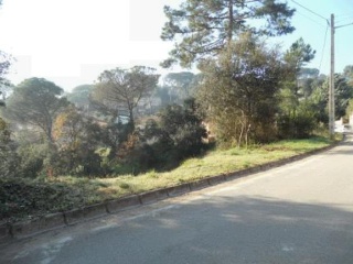 Collsacabra 12