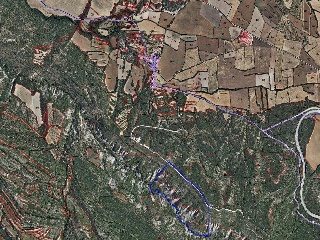 Diseminat Agullo 4