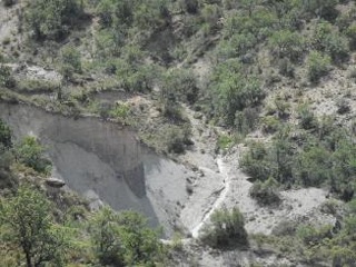 Diseminat Agullo 11