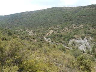 Diseminat Agullo 13