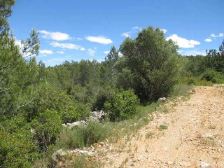 Loma (La) 3