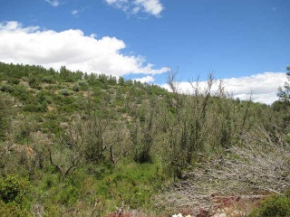 Loma (La) 4