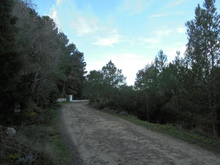 Pujada De Bixquert 11
