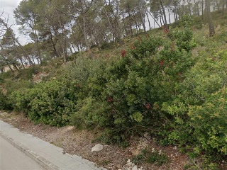 Pisos banco Olivella