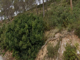 Cometa 4