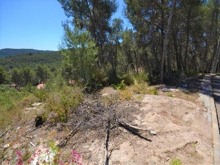 Cometa 12