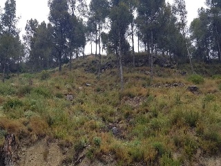 Penedès 23