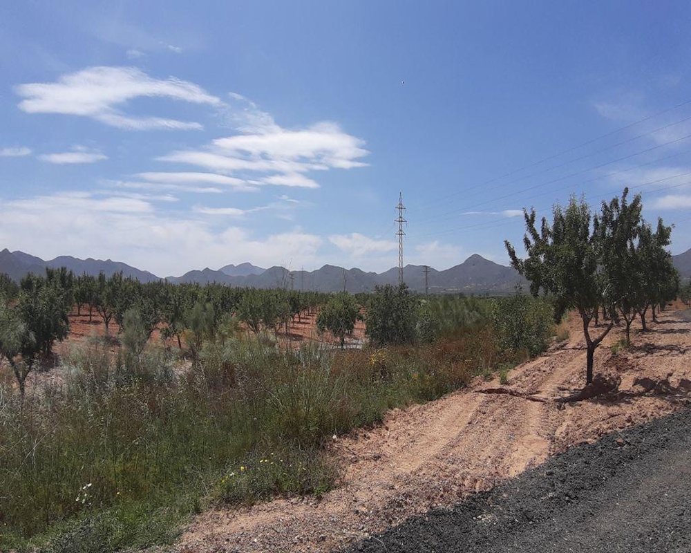 Los Barrancos Y Paganes