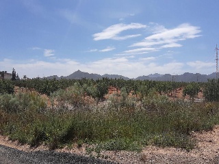 Los Barrancos Y Paganes 2