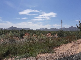 Los Barrancos Y Paganes 3