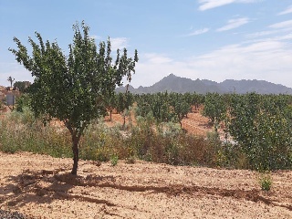 Los Barrancos Y Paganes 6