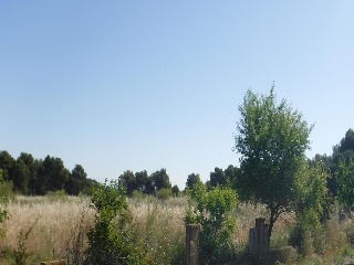 Pisos banco Lleida