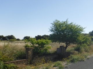 Urà 3