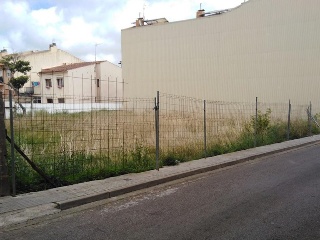 Piverd 8