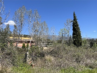 Prado Enmedio, Casavieja. , 19