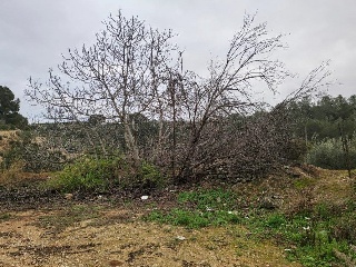 Cantalars, Pol.9, Parc. 123(A,B,C Y D) Y Parcela 233. Barranco De Montell 6