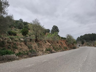 Cantalars, Pol.9, Parc. 123(A,B,C Y D) Y Parcela 233. Barranco De Montell 7